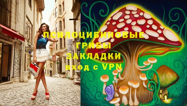 дмт Верхний Тагил