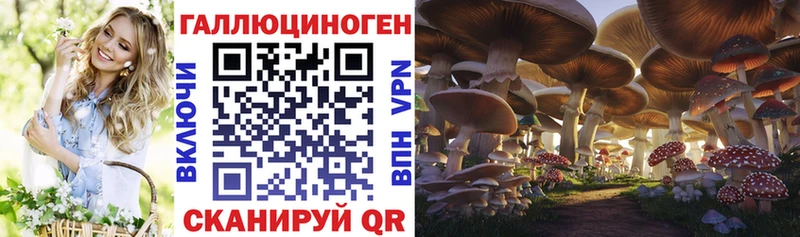 Псилоцибиновые грибы GOLDEN TEACHER  Ярцево 